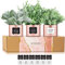 Set von 3 Rose Gold Schreibtischzubehör für Frauen Büro; Eukalyptus, Rosmarin, Lammohren, kleine gefälschte Pflanzen; Raumdekoration Frauen; Kunstpflanzen Innen; Home Office Schreibtisch Zubehör
