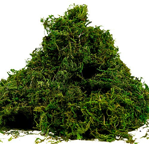 Fake Moss for Crafts, Artificial Green Moss for Potted Plants Centerpieces Decor (3.5OZ)