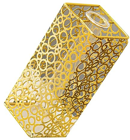 Sosoport Topf für hydroponische Pflanzen Anlage Container Vase Vase zur Dekoration Vasenregal Kleiner Topf graceling Gracy einmachgläser Vasen für Blumen Glasvase Ornament Eisen Golden