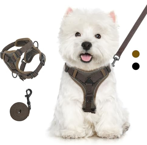 VavoPaw Pettorina per Cani con Guinzaglio da 1,5M, Imbracatura per Gatti Antifuga con Strisce Riflettenti e Rete Traspirante, Gilet Morbido e Regolabile per Cani Gatti, XL, Caffè