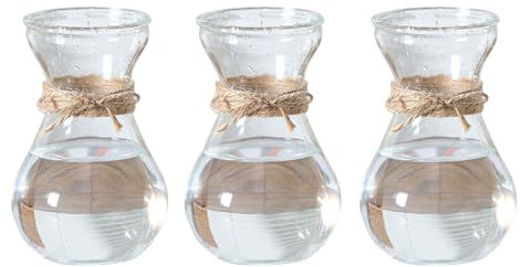 Soulnioi Jarrones de vidrio transparente para flores con cuerda de cáñamo, jarrón de jacinto/jarrón hidropónico transparente para decoración del hogar, vidrio de plantas para flores de escritorio,