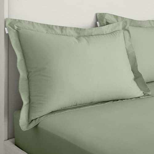 Bianca 200 Thread Count Cotton Percale Oxford Pillowcase Pair Sage Green
