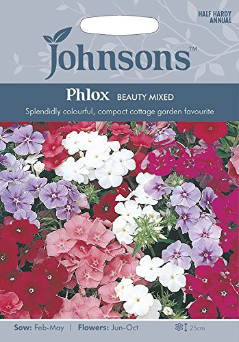 Johnsons Seeds Phlox Beauty Mixed Seed