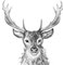 20 Servietten Paul, der Hirsch | Tiere | Wald | Jagd | J?ger | Tischdeko | Decoupage | Serviettentechnik 33x33cm