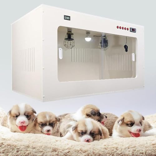 Incubateur pour chiots et chatons, boîte de mise bas chauffante, température constante, 100 cm x 60 cm x 60 cm