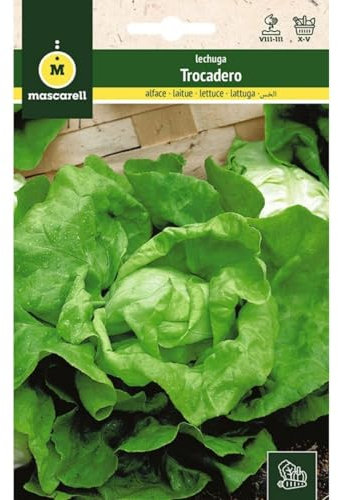 Mascarell Semillas, LECHUGA, Semillas Huerto, LECHUGA TROCADERO, Crea tu Propio Huerto Urbano y Cultivo en Casa, Plantas Hortícolas, 6 Gramos