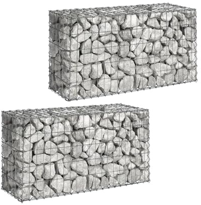 IDMarket - Lot de 2 gabions pour Pierre 100 x 30 x 50 cm