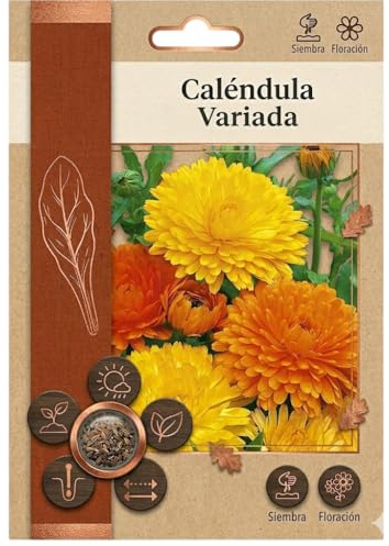 Semillas de Caléndula para Jardín y Macetas con Floración Naranja y Amarilla – DECOALIVE