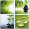 ARTland Glasbild Wandbild Glas Bild 4er Set 4 teilig je 40x40 cm Wellness Entspannung Zen Wasser Grün Blätter Stein Pyramide S6PI