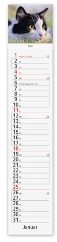 Timr Calendario de rayas 2026 largo – Calendario 61 cm – Paisajes calendario de cocina estrecho – Gato I tr412