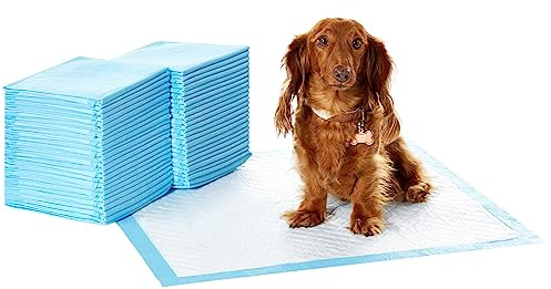 Amazon Basics Heavy Duty Dog and Puppy Pee Pads, Leak-Proof 5-Layer Super Absorbent, Quick-Dry Surface for Potty Training, Regular Size, 24x23, Blue & White, 50 Count