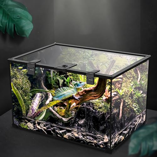 AFGSsm Reptilien Terrarium Glas, Schnecken Terrarium, Schildkröten Terrarium, Anti-Flucht-Design für Insekten, Wasserschildkröten, Vogelspinnen(20 * 20 * 16cm)