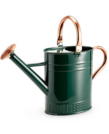 Bamworld Watering Can Indoor Plants 1 Gallon Stainless Steel Watering Can Long Spout Water Can for Indoor Outdoor Garden Plants Watering(Green)