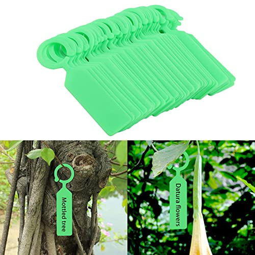 HUIOP HUIOP 100 Etichette per Alberi di Piante Sospese Bianche, Verdi e Gialle per l'identificazione delle Piante, Ideali Contrassegnare Vassoi di Semi, Vasi o Attaccarli a Giovani, Facili da (Verde)