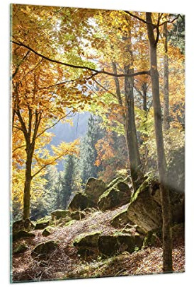 Decoracion Salon Otoño montaña bosque naturaleza Vidrios decorativos 50x70cm Cuadro Sobre Vidrio Moderno Dormitorio Cocina Cuadros Pared Impresiones Impresión en Cristal Wall Art Prints GPA50x70-2713