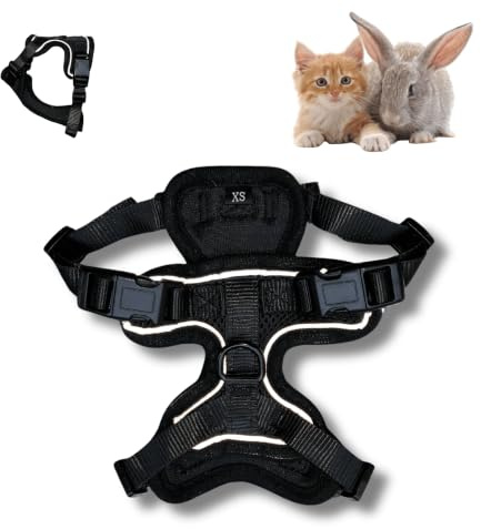 Harnais et Laisse pour Chat ou Lapin, Guide première Sortir inclu｜Accessoire réglable réfléchissant avec Longe, Attache Anti Fugue, Confort Optimal, sécurité extérieure, Anti-évasion Ideal Chaton.