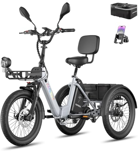 Fafrees F20 Mate II E Bike Bicicleta plegable | Triciclo eléctrico para hombres y mujeres, 250 W 48 V, batería de 21 Ah, carga de 180 kg, frenos hidráulicos (gris, amperios horas, 21)