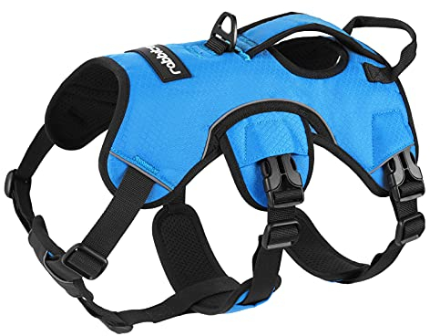 rabbitgoo Ausbruchsicheres Hundegeschirr Grosse Hunde mit Griff, Anti Zug Sicherheitsgeschirr Hund Atmungsaktiv, Verstellbare Brustgeschirr, Gepolstertem Hundeweste, Panikgeschirr, Blau XL