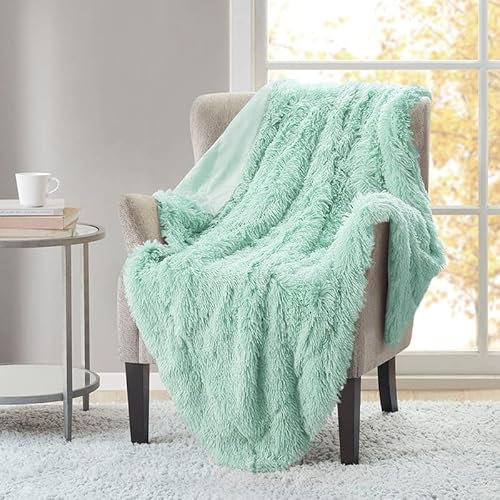 Excelente Manta de Pelo Largo Suave y Acogedora, 150 x 200CM, Doble Cara, Microfibra, Verde Macarrón