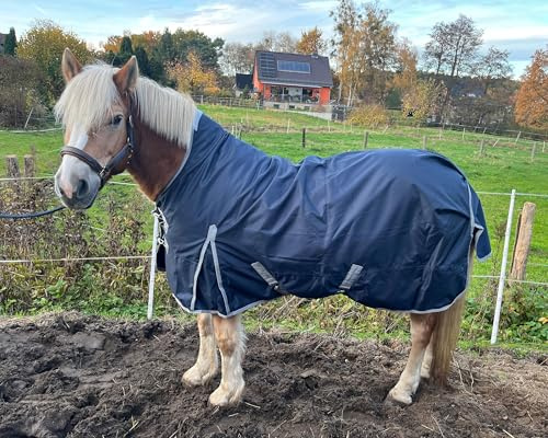 Brama-West Winterdecke Pferd Nell | Outdoordecke mit Highneck |1680D - 50g Füllung | Pferdedecke reisfest, wasserdicht und atmungsaktiv | Blau (125)