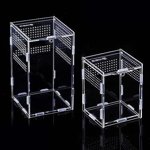 2 Stück Terrarium Box, Reptilien Futterbox, Insect Feeding Box Acryl-Transparent-Transportbox, Reptilien Aufzuchtbox für Spinnen, gehörnte Frösche, Käfer, Haustierschlangen und andere（Groß+Klein）