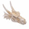 vreplrse Atemberaubende Aquarium Dekoration, lebendige Designs, Leben im Aquarium, geeignet für die Landschaftsgestaltung in Aquarien, Aquarium Ornament aus Kunstharz, Drachenschädel