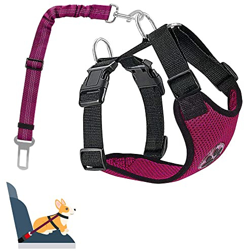 Nasjac Dog Car Harness with Seat Belts, Safety Adjustable Dog Seat Belts for Cars with Clip and Buckle, Breathable Mesh Pet Vest Harness Seatbelts with Secure Elastic Buffer for Travel