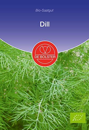De Bolster 13090 Dill Mammut (Bio-Dillsamen)