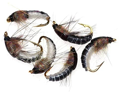 WWDZ Lot de 6 Mouches Nymphes Réalistes pour Pêche à la Truite, Nymphes Caddis, Appât à la Mouche