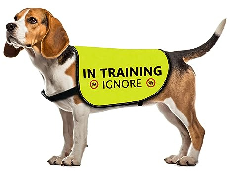 Training Ignore Dog Jacket - In Training Ignore-Medium, Dog Walking Slogan Warning Vest