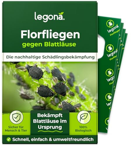 Legona Florfliegenlarven gegen Blattläuse & Thripse - 1 Träger à 1 Lieferung Effektiv Schmierläuse & Wollläuse bekämpfen Biologische Alternative