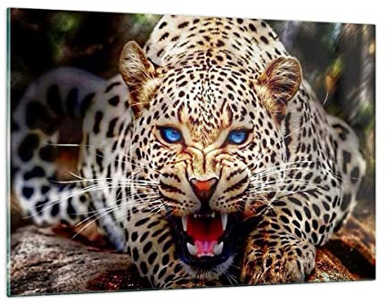 Decoracion Salon pantera animal Vidrios decorativos 120x80cm Cuadro Sobre Vidrio Moderno Dormitorio Cocina Cuadros Pared Impresiones Impresión en Cristal Wall Art Prints Grande XXL GAA120x80-3506
