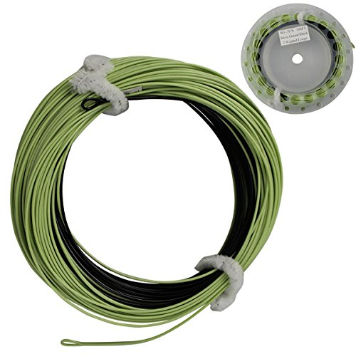 Fliegenschnur Sink Tip 100FT 3ips Gewicht Vorwärtsschwimmende Fliegenschnur Geliefert mit 2 geschweißten Vorfachschlaufen Sinkende Fliegenfischerschnur(WF-6F/S)