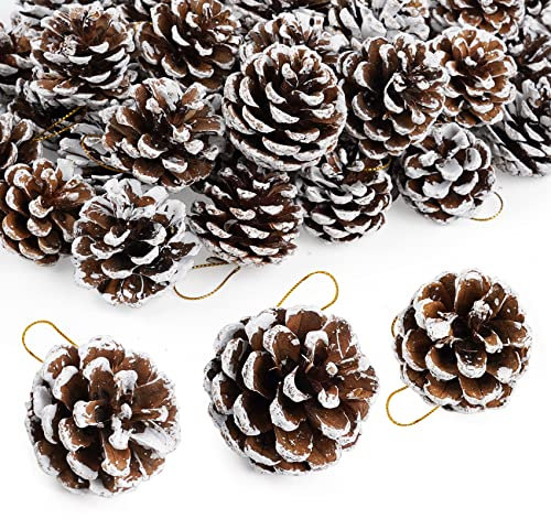 Christmas Pine Cones for Decoration, Natural Pinecones Ornament Snow Pine Cone With String for Gift DIY Crafts Home Xmas Tree Wreath Dried Garland Holiday Winter Decoration (50, 4-6 CM)