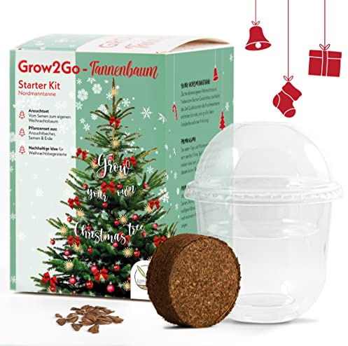 GROW2GO Ton propre sapin de Noël à planter toi-même - Kit de culture composé d'une mini-serre, de graines de sapin de Nordmann & de terreau