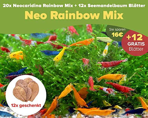 NatureHolic Rainbow Garnelenmix | Garnelen fürs Aquarium | 20x Neo Regenbogen Garnelenmix + 12x Seemandelbaum Blätter | Ideal für Einsteiger - hübsche Mischung aus bunten Garnelen