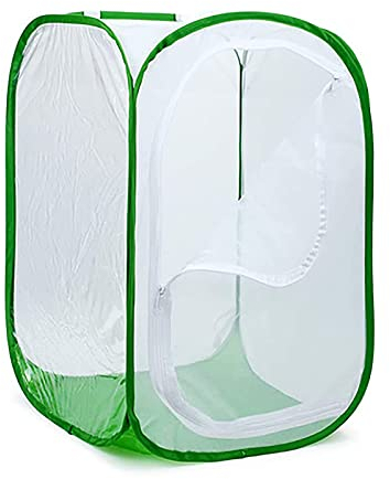 fikujap Großer Schmetterlingskäfig, Zusammenklappbarer Caterpillar Habitat Collapsible Insect Und Butterfly Mesh Cage Mit Reißverschluss Schmetterlingshaus,Grün,60 * 60 * 90
