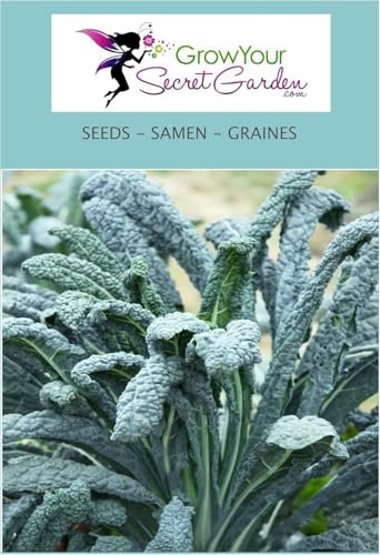 Chou Kale géant 30 Graines