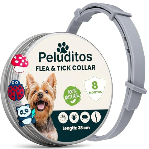 Collare Antiparassitario per Cani Taglia Piccola – 8 Mesi di Protezione contro Pulci e Zecche – Regolabile con Oli Essenziali e 3 Charms Inclusi – 38 cm