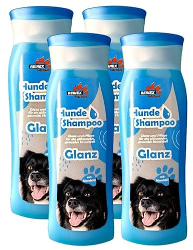 Hunde Shampoo Glanz mit Mandelöl, reinigt gründlich ohne auszutrocknen, sorgt für glänzendes, geschmeidiges Fell (4 Flaschen - 1200 ml)