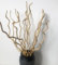 Branches de saule bouclées véritables - Branches de saule bouclées séchées - 100 % naturelles - 15 tiges décoratives blanches - 58,4 cm - Pour décoration d'intérieur (beige)