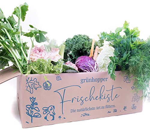 Frischekiste Bunte Vielfalt 5 kg Kaninchenkiste