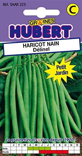 50 Graines de Haricot nain Délinel - Format Petit Jardin