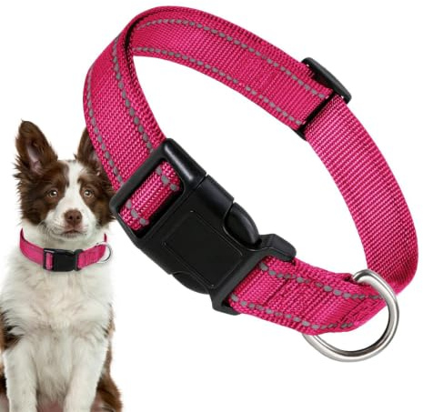 Reflekterande katthalsband, Reflekterande hundhalsband Justerbar Bekväm | Hund komforthalsband Bekväm justerbar reflekterande hög synlighet Säkerhet för medela hundar, katt, olika hundar,