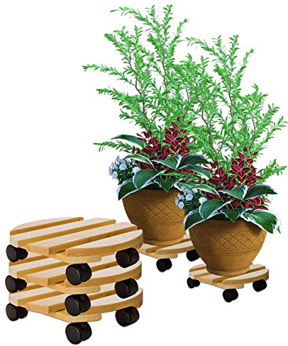 BigDean 3x Pflanzenroller rund Buchenholz massives Holz 30 cm bis 120 Kg Rolluntersetzer