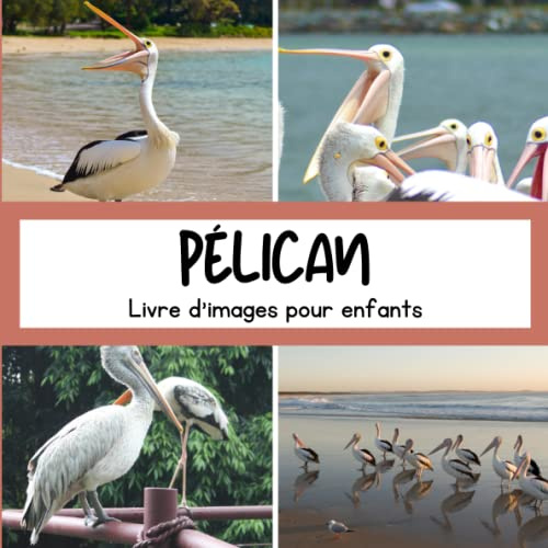 Livre d'images pour enfants - Pélican: Découvrir les Pélicans en image - Enfants de 2 à 5 ans