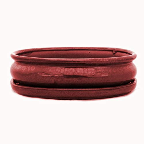 Bol à bonsaï avec soucoupe Gr. 3 – Ovale O47 – Rouge – L 19 cm – l 13,5 cm – H 5 cm