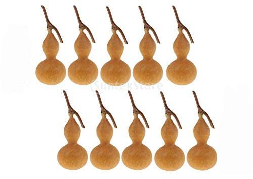 Tuoservo 10 zucca secca naturale decorativa fiori secchi frutta accenti bottiglia di zucca piccola per matrimoni rustici composizioni floreali decorazioni per la casa ornamenti da tavolo