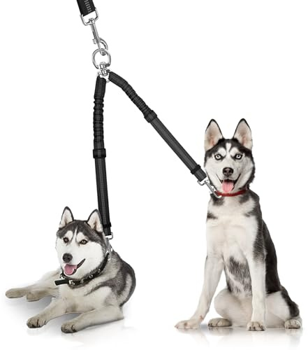 YAODHAOD Double Dog Leash,Two Dog Leash Splitter, No Tangle 360° Swivel Rotation Reflective Lead, Adjustable Length Bungee Heavy Duty Walking Training Dual Extension (Black)