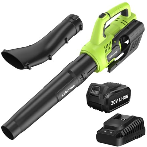 2024 Souffleur de Feuilles sans Fil, Souffleur de Feuilles à Batterie 20V, avec Batterie 4000mAh, 2 Vitesses, 580CFM 141MPH pour Feuilles, Neige et Poussière